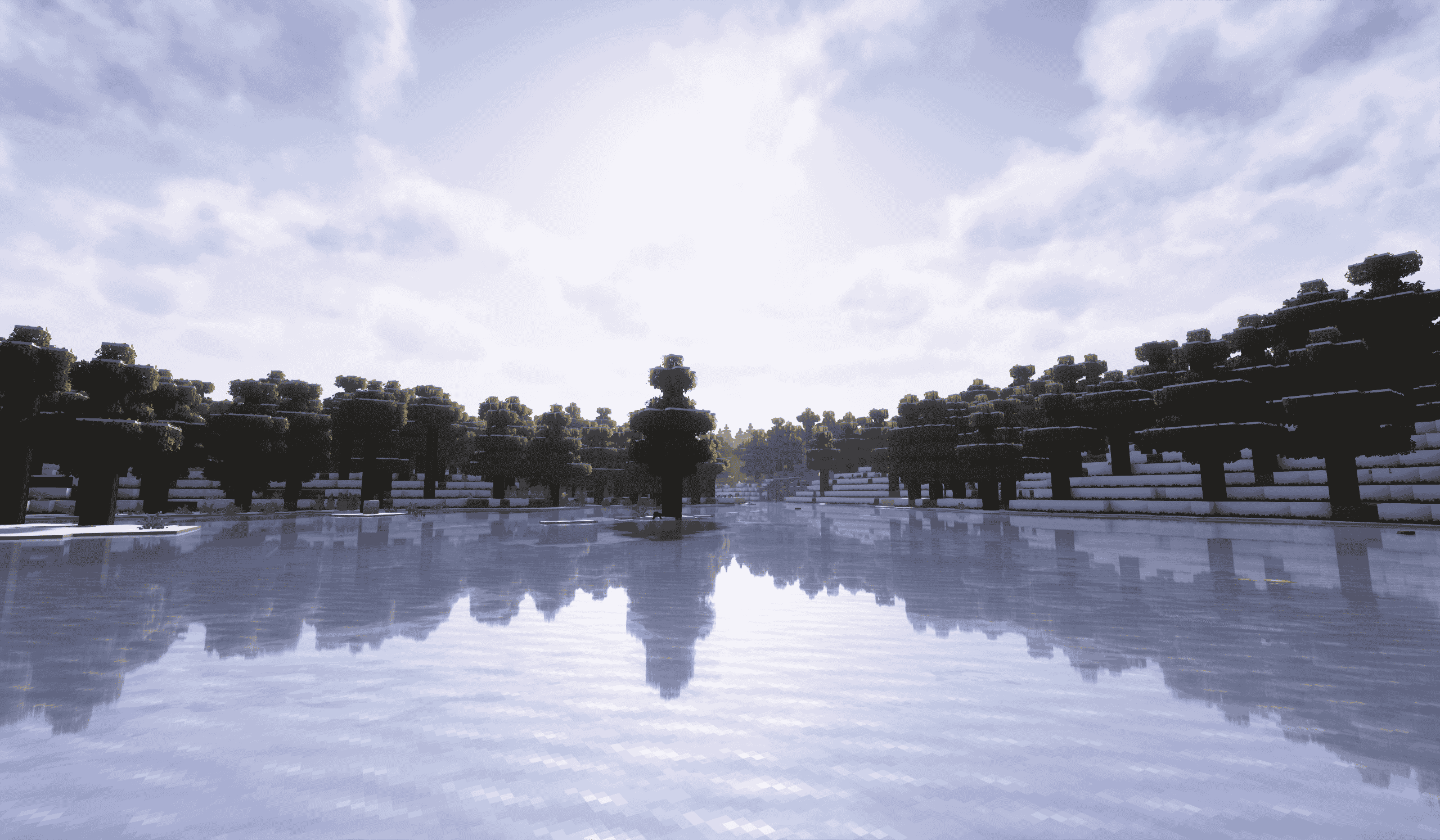 large picture of the cover