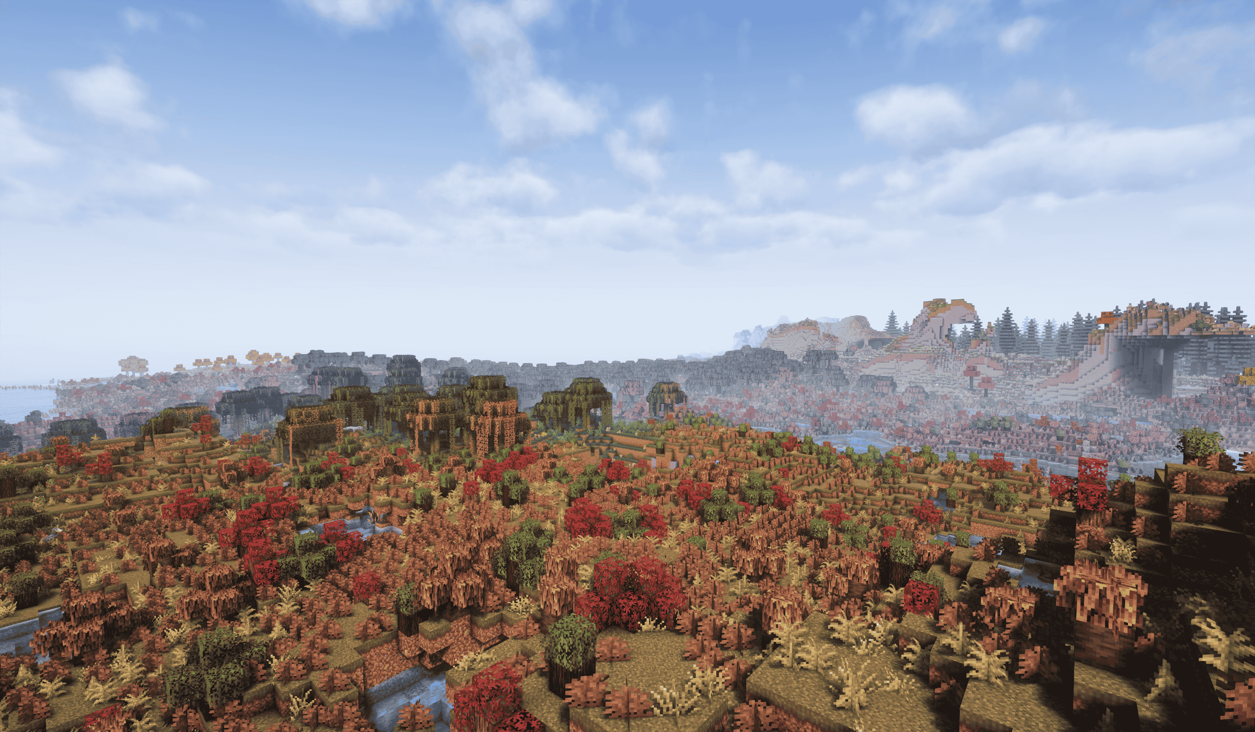 large picture of the cover