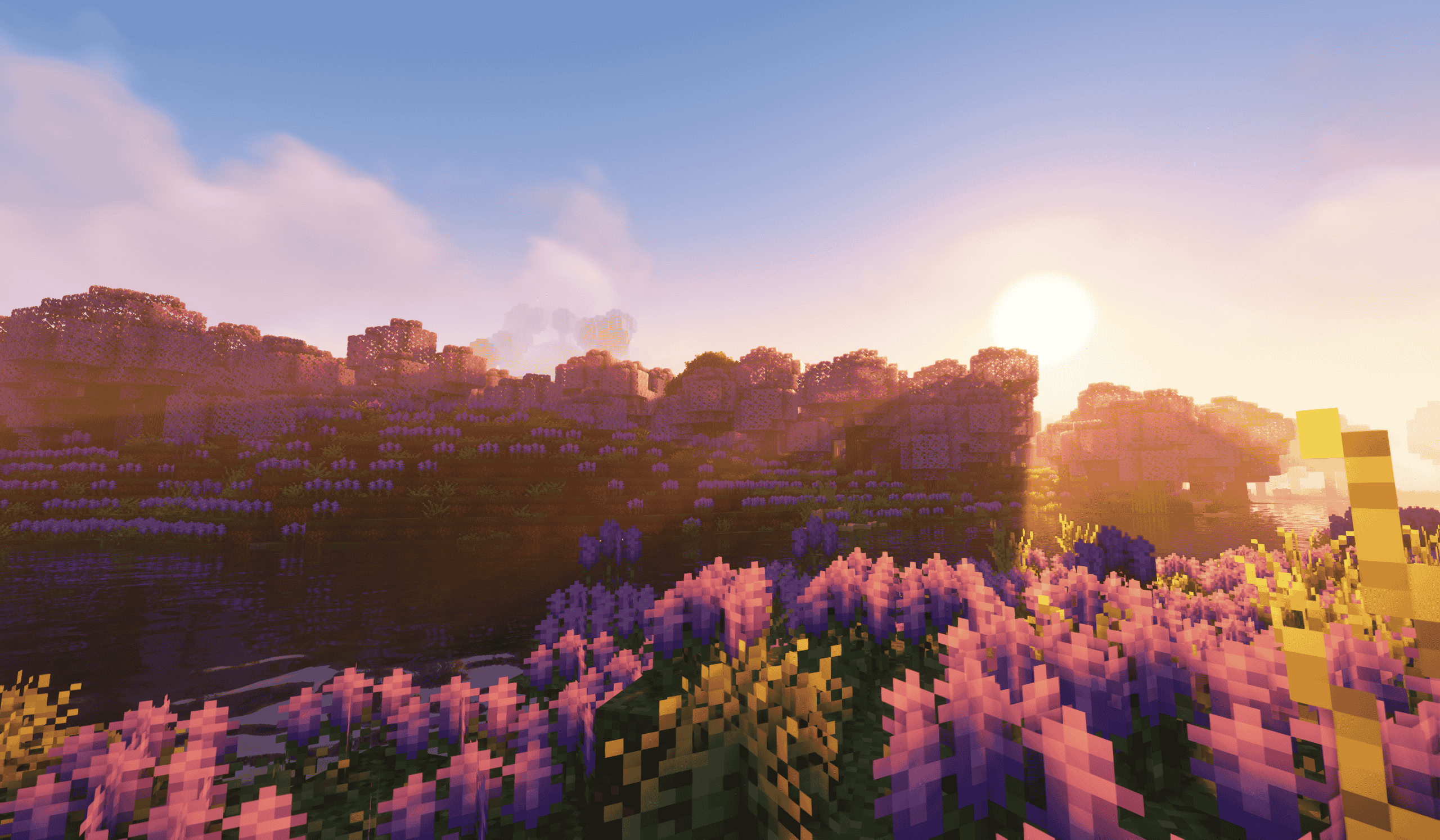 large picture of the cover